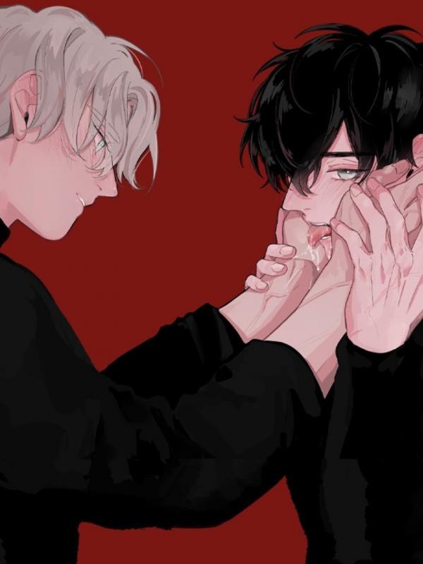 WhatsApp Image 2025-11-29 at 13.23.48